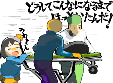 ハイクログ。 ハイクログ。